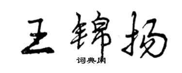 曾庆福王锦扬行书个性签名怎么写