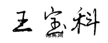 曾庆福王宝科行书个性签名怎么写