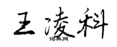 曾庆福王凌科行书个性签名怎么写