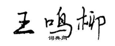 曾庆福王鸣柳行书个性签名怎么写