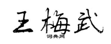 曾庆福王梅武行书个性签名怎么写