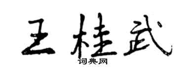 曾庆福王桂武行书个性签名怎么写