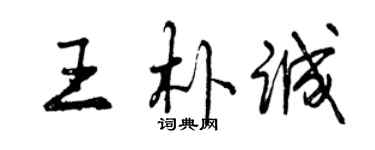 曾庆福王朴诚行书个性签名怎么写