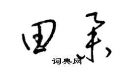 梁锦英田举草书个性签名怎么写
