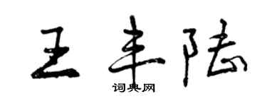 曾庆福王丰陆行书个性签名怎么写