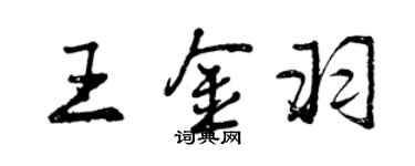 曾庆福王金羽行书个性签名怎么写