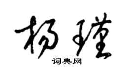 梁锦英杨瑾草书个性签名怎么写