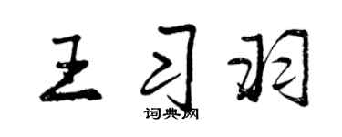曾庆福王习羽行书个性签名怎么写