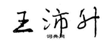 曾庆福王沛升行书个性签名怎么写