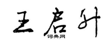 曾庆福王启升行书个性签名怎么写