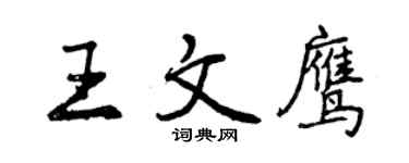 曾庆福王文鹰行书个性签名怎么写