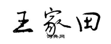 曾庆福王家田行书个性签名怎么写