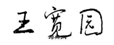 曾庆福王宽园行书个性签名怎么写