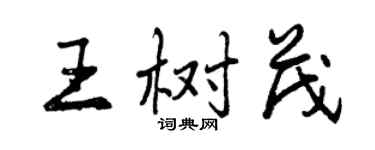 曾庆福王树茂行书个性签名怎么写