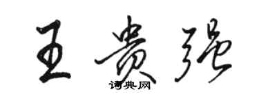 骆恒光王贵强行书个性签名怎么写