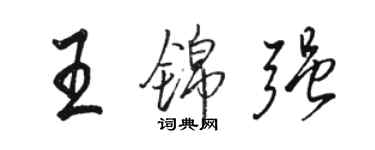 骆恒光王锦强行书个性签名怎么写