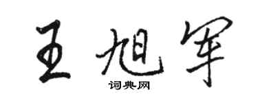 骆恒光王旭军行书个性签名怎么写