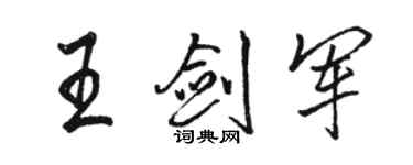 骆恒光王剑军行书个性签名怎么写