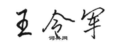 骆恒光王令军行书个性签名怎么写