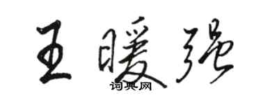 骆恒光王暖强行书个性签名怎么写