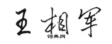 骆恒光王相军行书个性签名怎么写