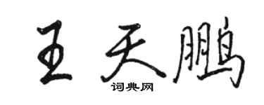 骆恒光王天鹏行书个性签名怎么写