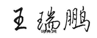 骆恒光王瑞鹏行书个性签名怎么写