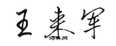 骆恒光王来军行书个性签名怎么写