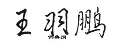 骆恒光王羽鹏行书个性签名怎么写