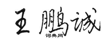 骆恒光王鹏诚行书个性签名怎么写