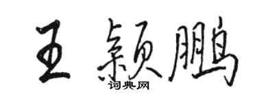 骆恒光王颖鹏行书个性签名怎么写