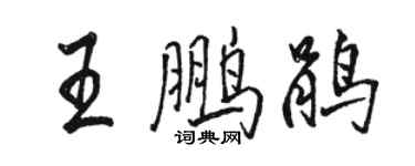 骆恒光王鹏鹃行书个性签名怎么写
