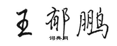 骆恒光王郁鹏行书个性签名怎么写