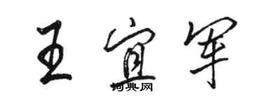 骆恒光王宜军行书个性签名怎么写