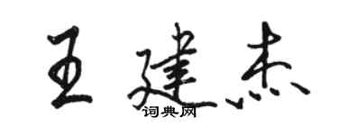 骆恒光王建杰行书个性签名怎么写
