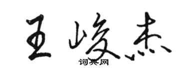 骆恒光王峻杰行书个性签名怎么写