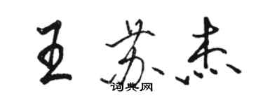 骆恒光王苏杰行书个性签名怎么写
