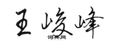 骆恒光王峻峰行书个性签名怎么写