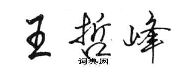 骆恒光王哲峰行书个性签名怎么写