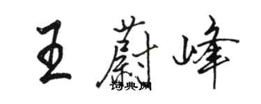 骆恒光王蔚峰行书个性签名怎么写