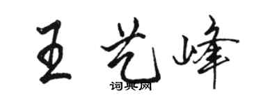 骆恒光王艺峰行书个性签名怎么写