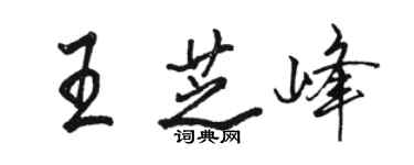 骆恒光王芝峰行书个性签名怎么写