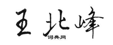 骆恒光王北峰行书个性签名怎么写