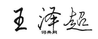 骆恒光王泽超行书个性签名怎么写