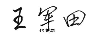 骆恒光王军田行书个性签名怎么写