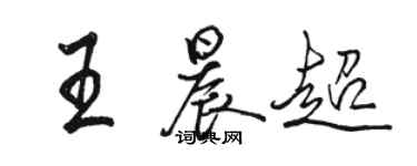 骆恒光王晨超行书个性签名怎么写