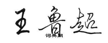 骆恒光王鲁超行书个性签名怎么写