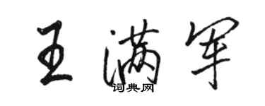 骆恒光王满军行书个性签名怎么写