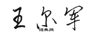 骆恒光王尔军行书个性签名怎么写