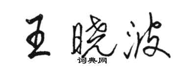 骆恒光王晓波行书个性签名怎么写